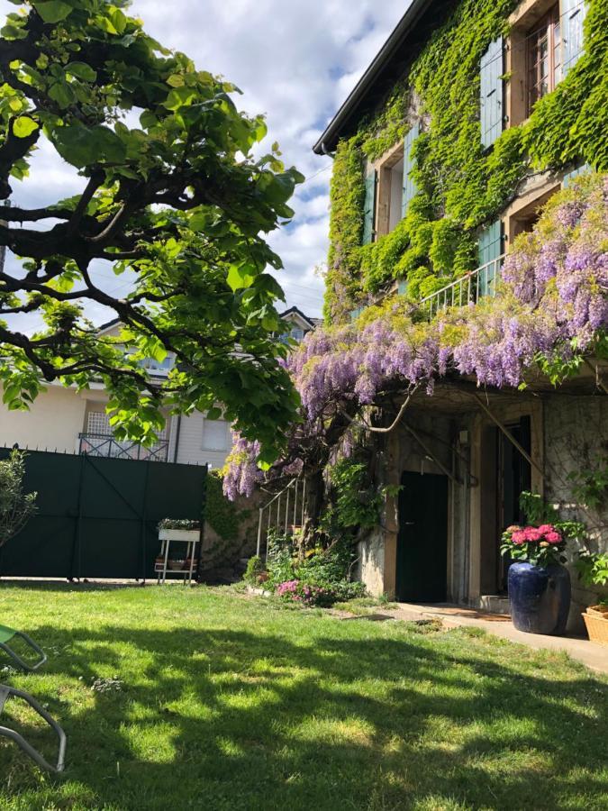 Le Clos Des Fontaines, A 5 Mn Du Lac โทนง-เลส์-แบงส์ ภายนอก รูปภาพ
